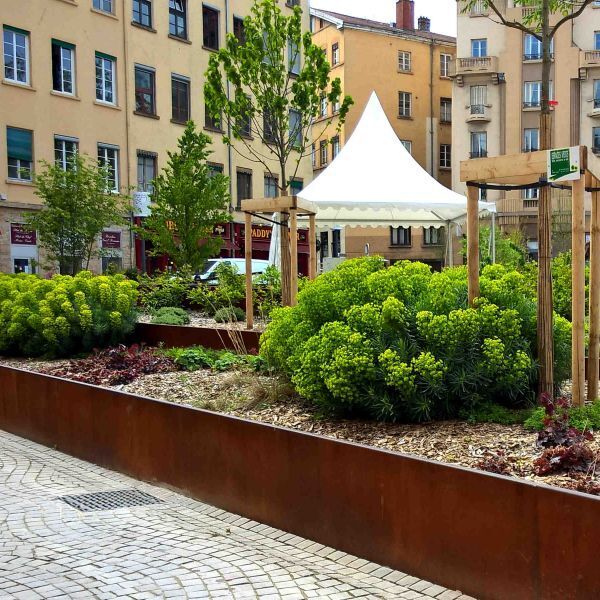 defilippis mineralconseil place tapis st martin belleroche RRR
